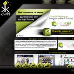 Lancement du site web : www.studio-kiwik.fr